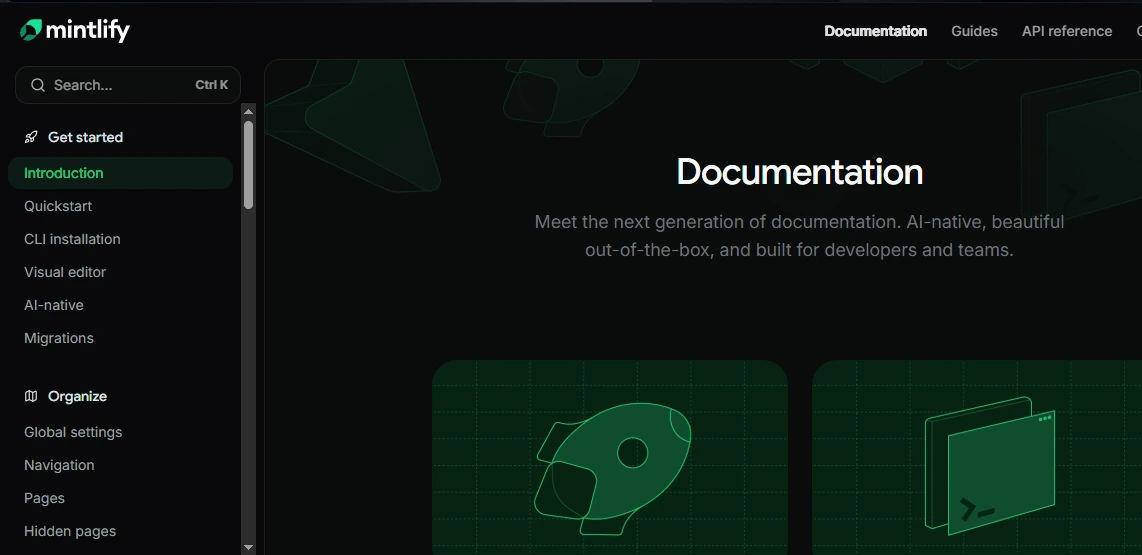 Mintlify Documentation Platform