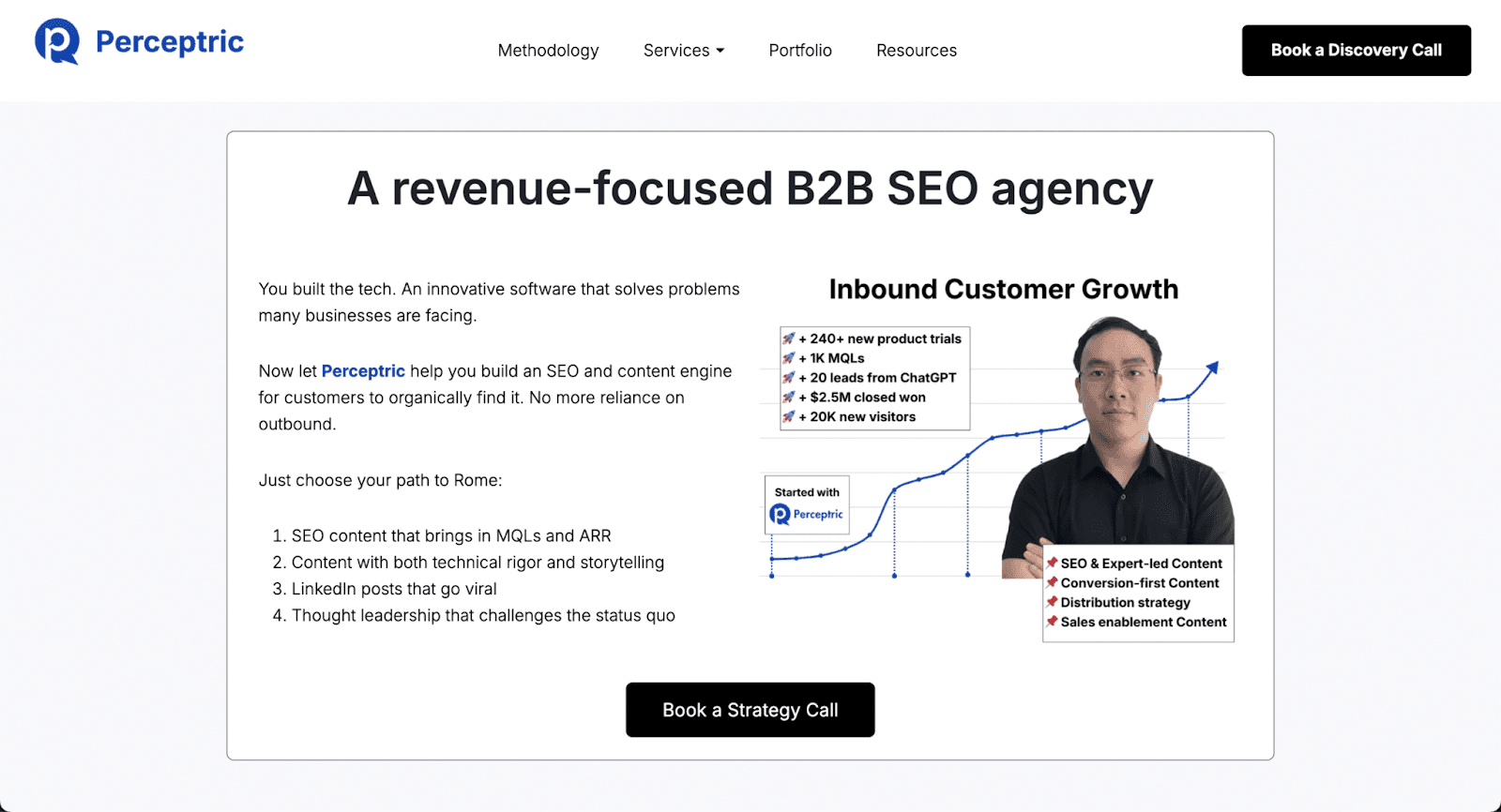 Perceptric homepage