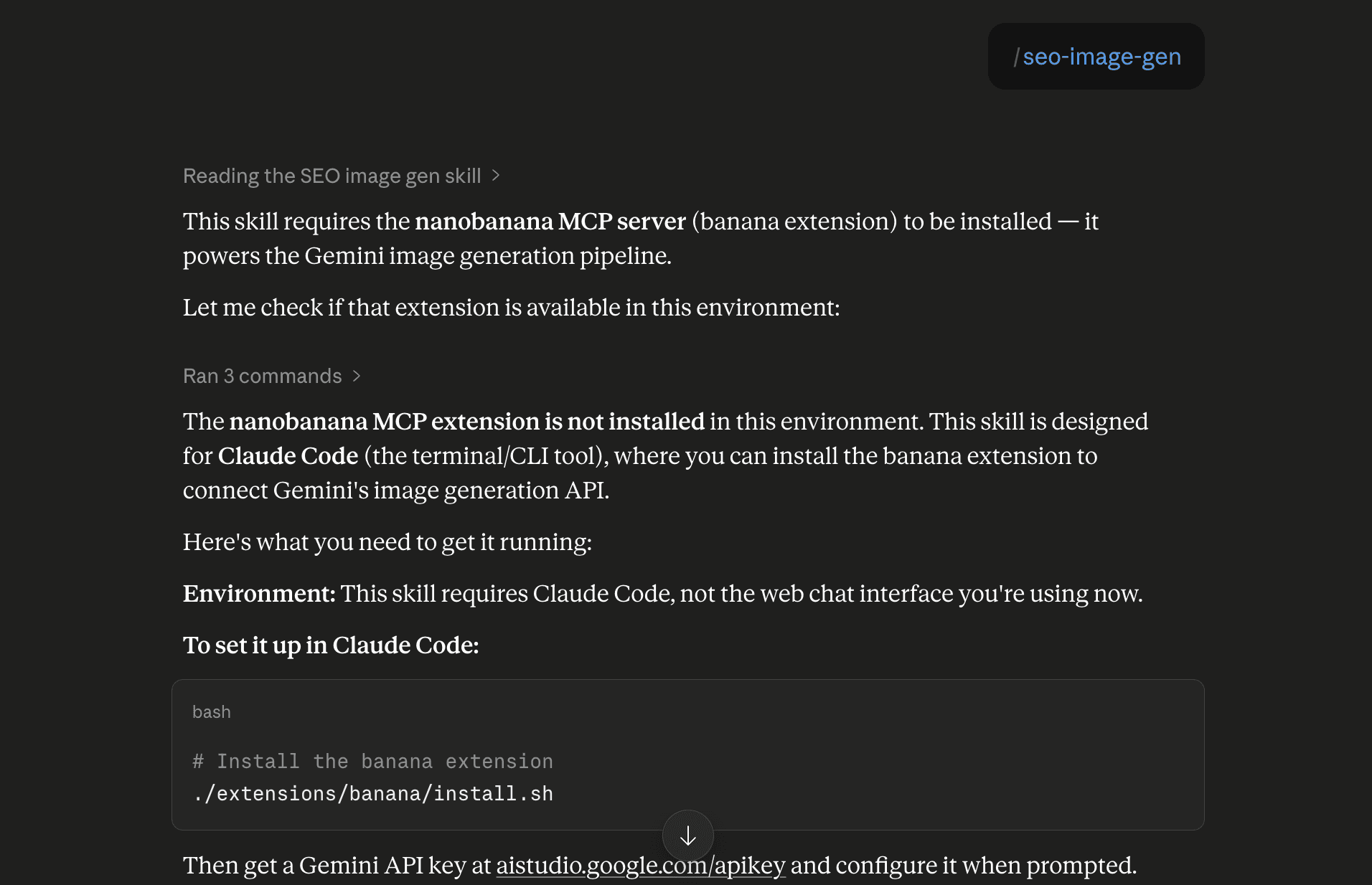 Step 6: Run the seo-image-gen skill in Claude