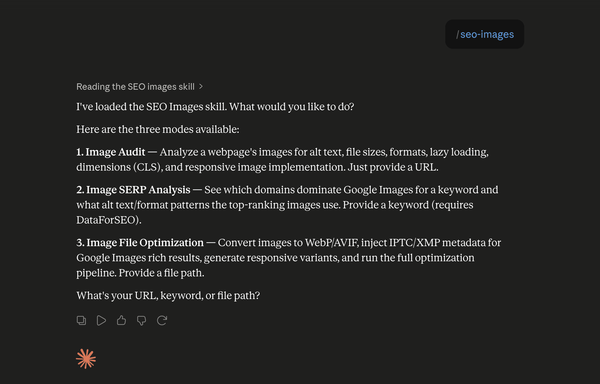 Step 6: Run the seo-images skill in Claude
