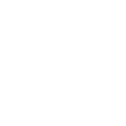 endorLabsLogo.png
