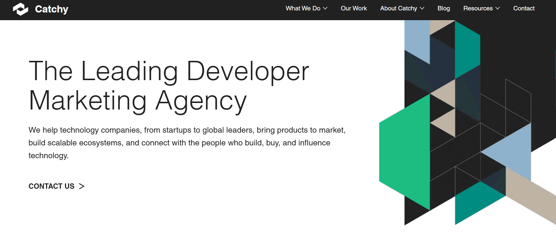 Screenshot of Catchy Agency's homepage headline, The Leading Developer Marketing Agency, describing help for technology companies bringing products to market and building scalable ecosystems