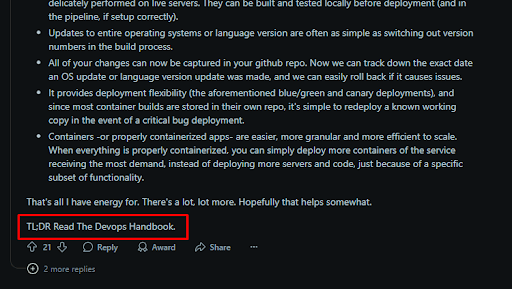 A Reddit comment explains various DevOps practices such as version updates, rollback capabilities, deployment flexibility, and containerization benefits. Below, in bold text, it concludes with “TL;DR Read The DevOps Handbook.” The “TL;DR” sentence is highlighted with a red rectangle.